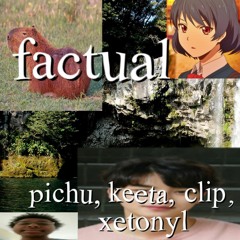 factual (pichu, keeta, clip, xetonyl)