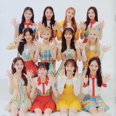 Loona Boycott!!