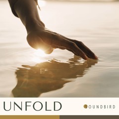 Unfold (sampler)