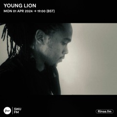 Young Lion - 01 April 2024