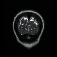 IN TRBLE (LIVE IN LA)