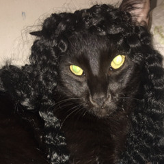 Mexico x Thiago x Warlord Cursed - Dreads longos pt2