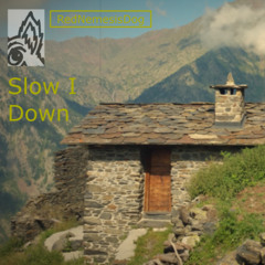Slow I Down