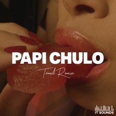 Papi Chulo Remix
