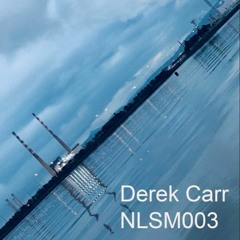 NLSM003 Derek Carr