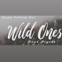 Wild ones Feat Pigz89