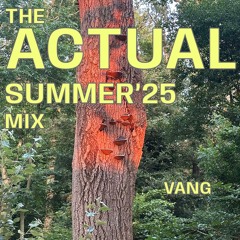 THE ACTUAL SUMMER '25 MIX