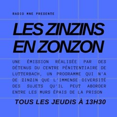 Les zinzins en zonzon - Fiction : à la manière du Gorafi - 01/09/23