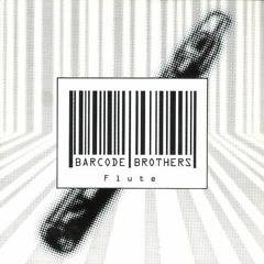 Barcode Brothers - Flute (Mario Vee Remix 2024)