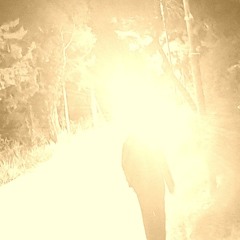 delayed sein one ch 20241113-222626