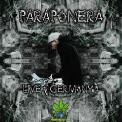Paraponera Artist 420