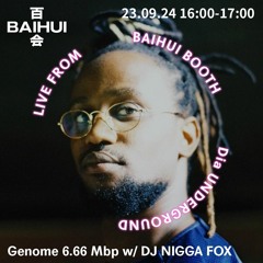 Genome 6.66 Mbp w/ DJ Nigga Fox on Baihui Radio