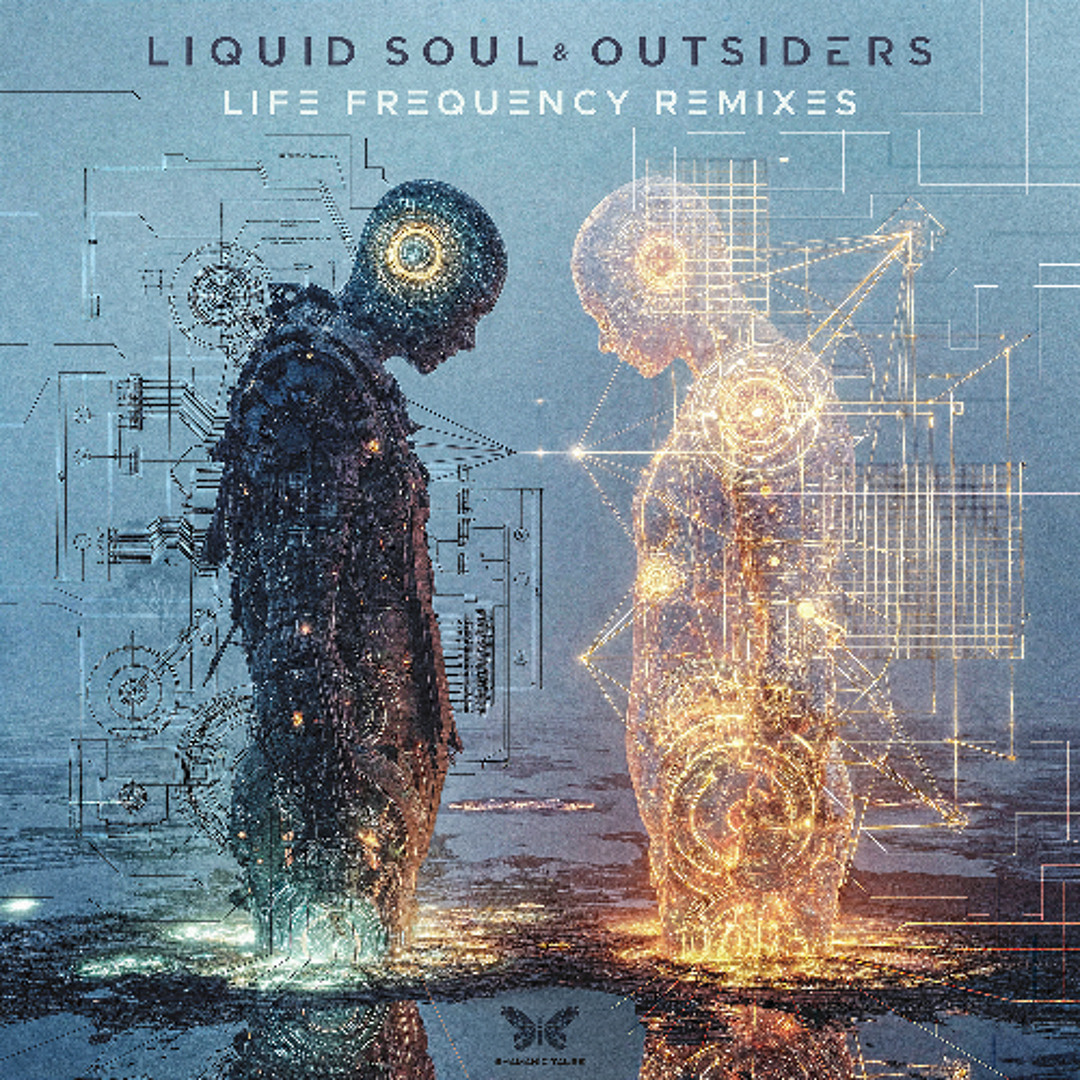Stream Outsiders Vs. Liquid Soul - Life Frequency (Burn in Noise