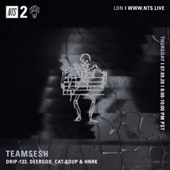 TeamSESH NTS