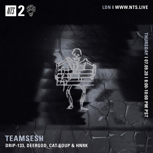 TeamSesh NTS 9th July 2020: Deergod, cat soup, hnrk & drip-133