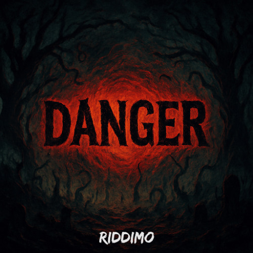 Riddimo - Danger