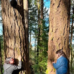 Digital Media I-01(F’23)