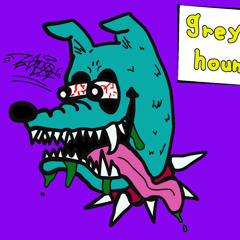greyhound