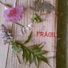 el malviaje [ demo ]