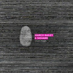 Marco Bailey & Sigvard - Unjust Images EP [MATERIA]