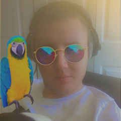 Rough Demo of new track "Stanleys dream"