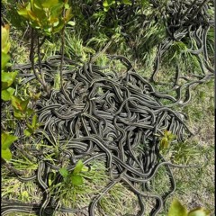 slimin w my kunt tru god