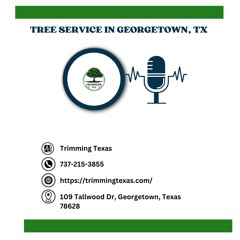 can-seniors-get-trees-removed-for-free-georgetown-texas