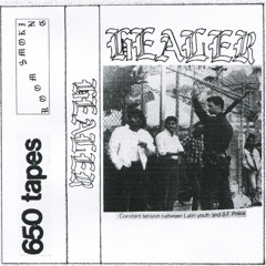 Healer - Aparicoes Doches