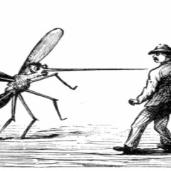 Mister Werm - Mosquito Fanfare Opus 244 In Z# Major