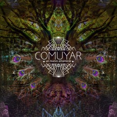 Swamp - Liquid fraction @ Festival Comuyar 2022 / Edición especial 5 años