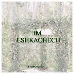 Im Eshkachech (shnooks edit)