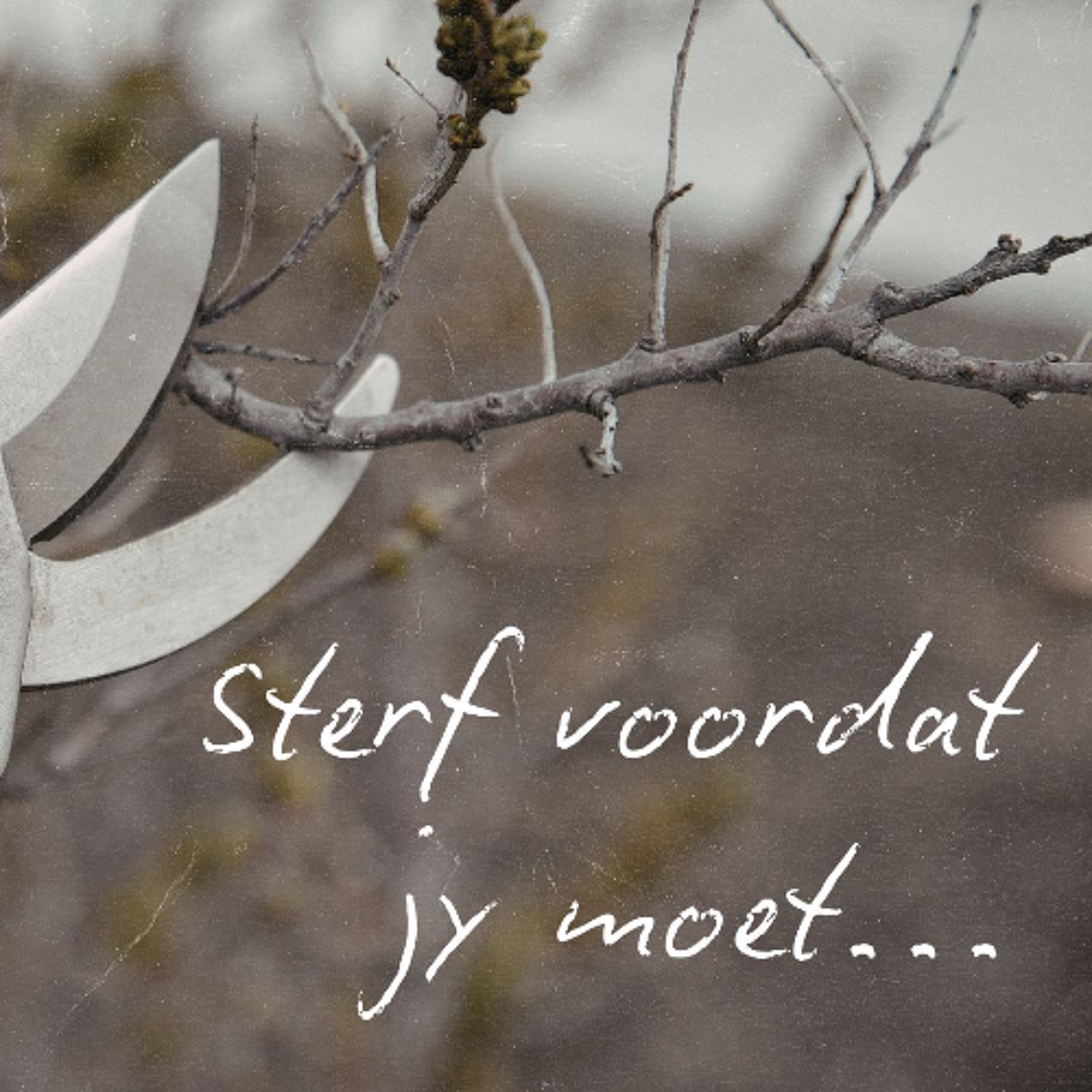 Sterf voordat jy moet deur Theo Geyser