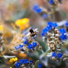 Nathaniel Keys - Butterfly Kisses