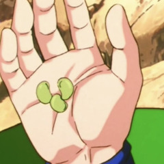 KENNETH - SENZU BEAN (almost done)