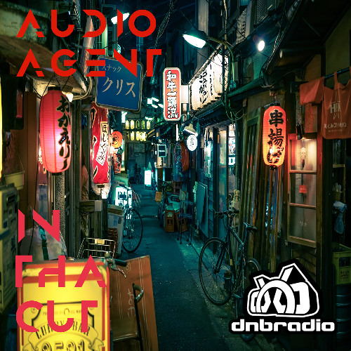 In Tha Cut 212 (DNBRadio 11-30-2025)