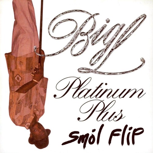 Platinum Plus Flip