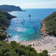 Johnnie Ibiza