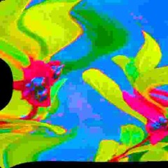 estr0gen.asm (prod. shyburial)