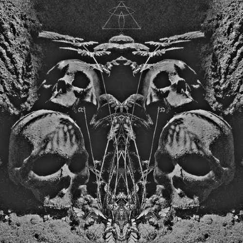 Local Analyst - Violent Memory