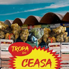 MC LIANO ZN E DJ ESCOBAR - TROPA DO CEASA - DJ CAIO 22 E DJ LINDAO