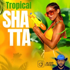 Tropical Shatta Mix By Dj LiL Djo