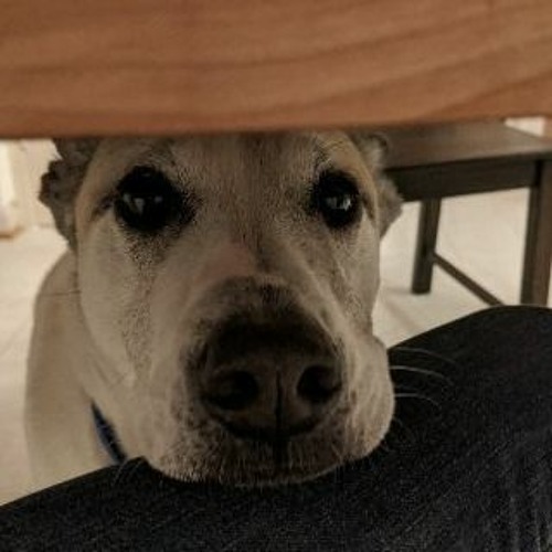 Tyler Mire Game Audio Reel 2021