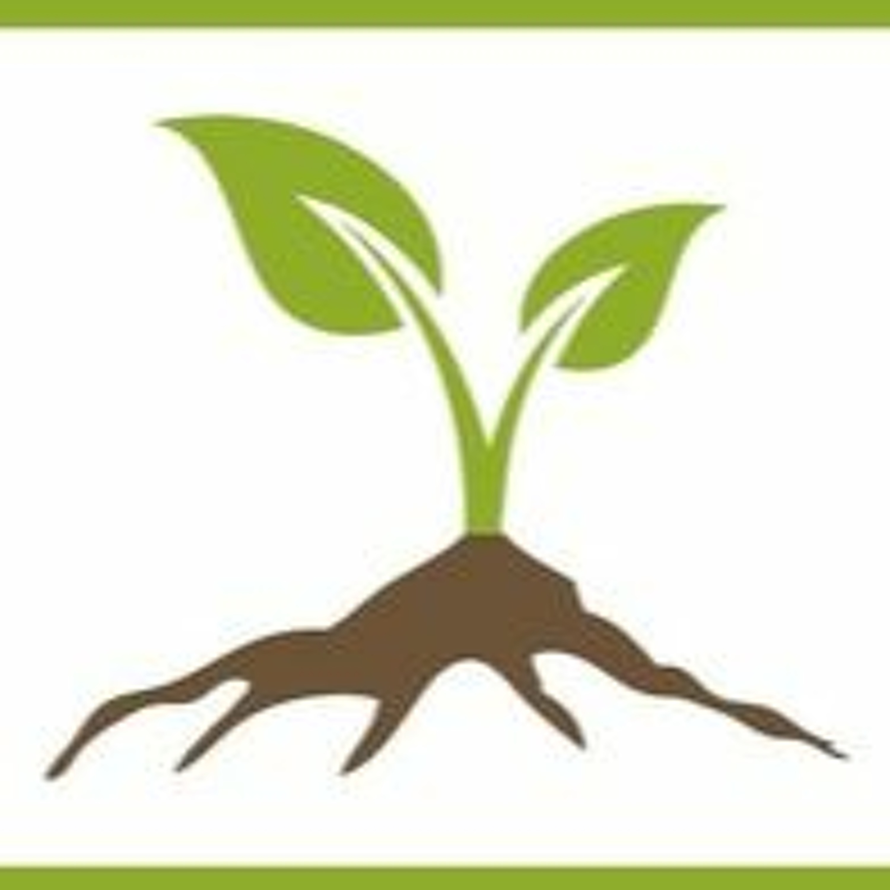 Plant. Grow. Harvest.