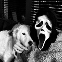 NIGHTMARE ON RUSH ST.wav