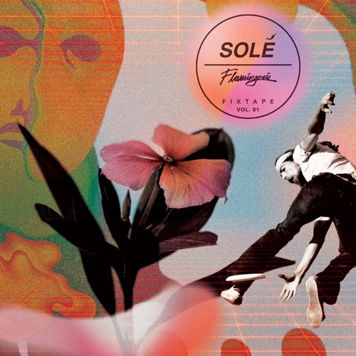Solé Fixtape Vol. 81 | Flamingosis