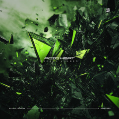 IAMT483: Markus Volker - Acid Heat