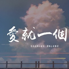 李巍V仔 - 愛就一個字 (彈唱版)「我為你翻山越嶺，卻無心看風景」【動態歌詞/pīn yīn gē cí】