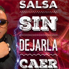 SALSA SIN DEJARLA CAER  VOL.1 MIX EN VIVO DJ JOE CATADOR