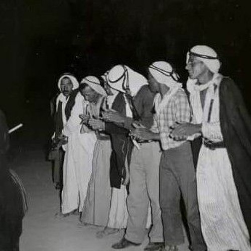 هجيني مسرعة 'دحية' جديد 2023