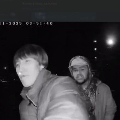 Пыль в голове